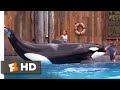 Free Willy 1993 Willy S Performance Scene 6 10 Movieclips