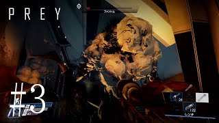 #3駆逐してやる、一匹残らず「Prey」