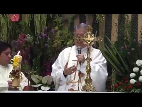 Homilía en el Mercado San Antonio 13 - junio - 2014