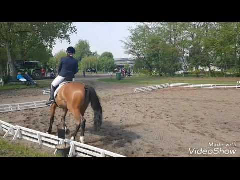 First Selection - Royal Diamant - Landadel