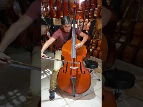 1969 Ernst Heinrich Roth Double Bass - Miami String