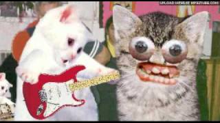 Mclusky - 2-No New Wave No Fun