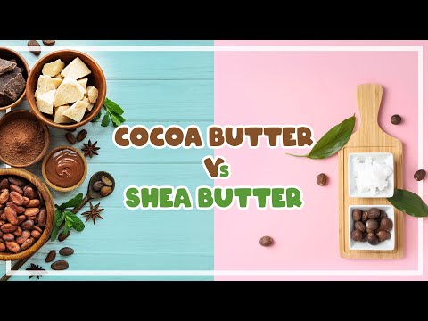 , title : 'Cocoa Butter vs. Shea Butter: Which Is Better for Your Skin? | Shea Butter vs. Cocoa Butter (2022)'