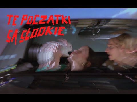 Holak – Najpierw słodkie