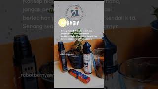 Download lagu Status WA 'Lagu satu By Iwan fals' mp3