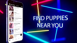 How to Sell Your Puppies Fast using the Bully Girl Mobile App | BGM Podcast | S4 - E11