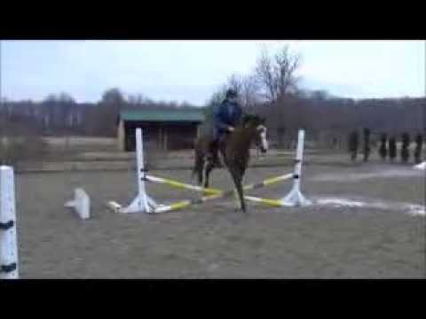 Q 2014 03 08 jump 08