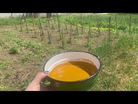 SPRAY THIS NATURAL MIXTURE ON YOUR GARDEN, FLOWERS, FRUITS AND PLANTS! YOU WILL BE DELIGHTED