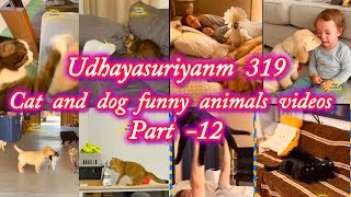 Download lagu Catanddog funny animals videos part -12 #funny #animals #comedy #videos #udhayasuriyanm319 mp3