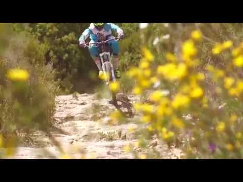 #Lynx6 27,5": Gravity Team