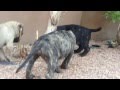 IMG 3719