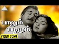 பாலும் பழமும் Video Song Paalum Pazhamum Movie Songs Sivaji Ganesan Saroja D