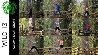 Walking to the Kauri for 10 Days Straight | My Local Forest, My Own Rhyth