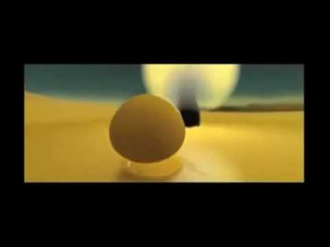 "Sé mi luz, enciende mi noche"