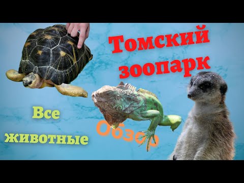 ОБЗОР ТОМСКОГО МИНИ ЗООПАРКА. ВСЕ ЖИВОТНЫЕ.