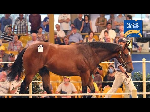2015 Adelaide Magic Millions Yearling Sale Day 3
