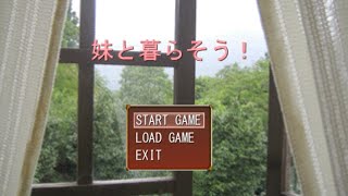 妹と暮らしてたらTETRISをやってた