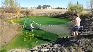 My Backyard Pond Is In Trouble... (Rescuing My Pet Bass)