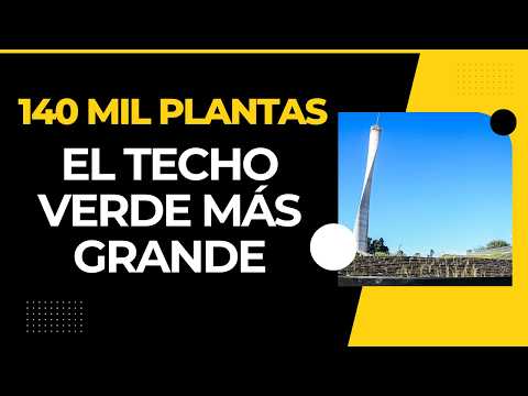Córdoba construye un techo verde de 4.500 m²: así avanza la obra