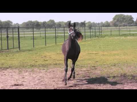 GR Malou 20130519.04