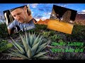 Jimmy LaFave ~ Don't Ask Me #JimmyLaFave #DontAskMe #CimarronManifesto