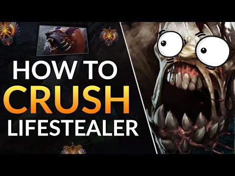 How to COUNTER LIFESTEALER - Pro Tips to Carry this Meta! | Dota 2 Guide Video