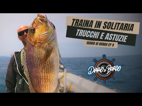 TRAINA CON IL VIVO IN SOLITARIA - TUTORIAL COMPLETO CON CATTURE - Diario Di Bordo EP. 9