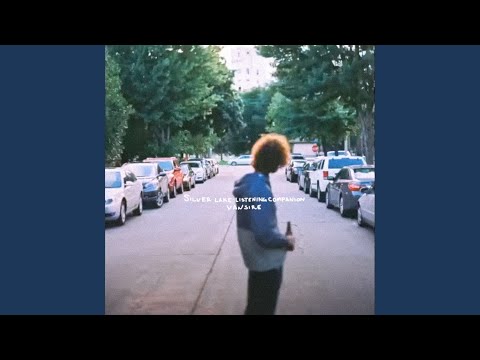 From The Subway Train - Vansire