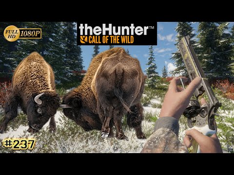 theHunter: Call of the Wild Gameplay Overview