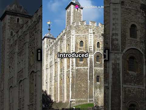 Have You Heard of the Norman Conquest in 1066 CE by William the conqueror #learning #facts #history