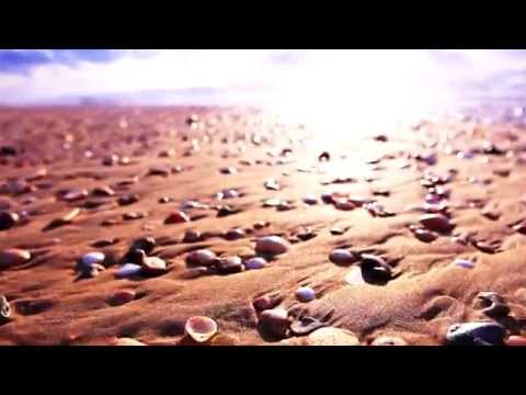 Nick drake - "From the Morning"