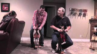 Wooden Rocking/Walking Horses