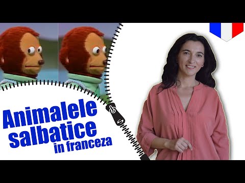 Animalele salbatice in franceza | VOCABULAR (subtitrare in românã)