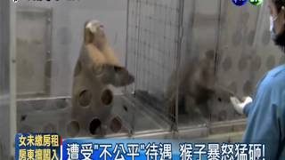 [問卦] 雙標很正常到底有啥好悲憤的？