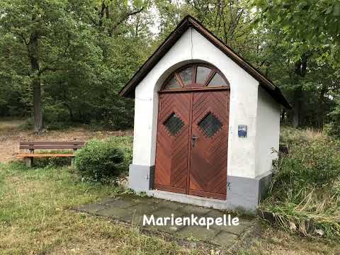 Rheinsteig Etappe 9 (Filsen („Alte Tor“) bis Kestert (Bahnhof))