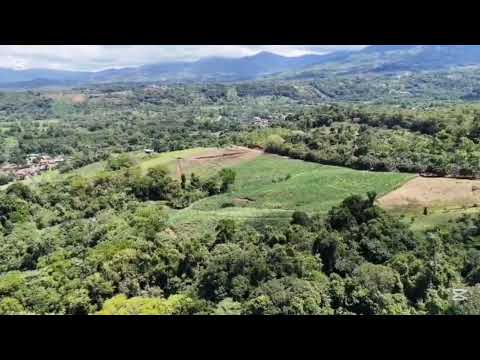 img-video