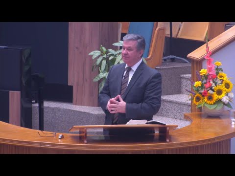 Paul Negruț - Am crize de nervi... ce să fac?