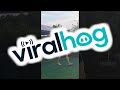 A Silly Swan Dive Attempt || ViralHog