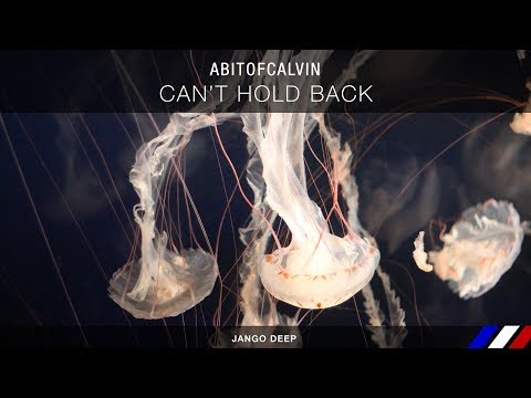 ABitOfCalvin - Can't Hold Back (Radio Edit)