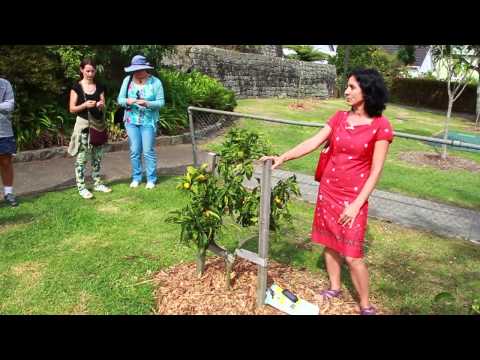 Mt Eden Village People Walking Tour - Judith Holtebrinck