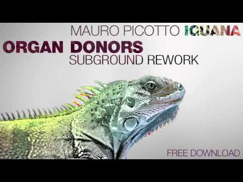 Mauro Picotto - Iguana (Organ Donors Subground Rework)