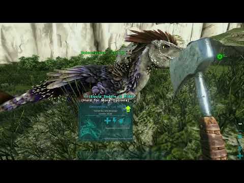 Deinonychus mutations [E7] cluster