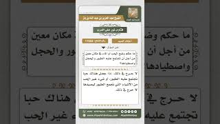 صورة 11652 - حكم وضع الحب في مكان معين لصيد الطيور -  نور على الدرب