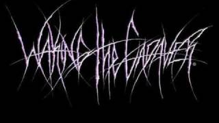 Waking the cadaver - Chased through the woods by a Rapist