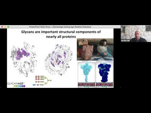 Using Glycans as a Tool to Prevent Age-Related Diseases