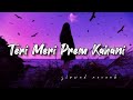 Teri Meri Prem Kahani Slowed-Reverb ||Bodyguard || New Song