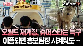 오월드 재개장, 슈퍼스타는 늑구, 이쯤되면 홍보팀장으로 임명해도… [PICK] / 연합뉴스TV(YonhapnewsTV)