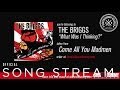 The Briggs - What Was I Thinking? (Official Audio)