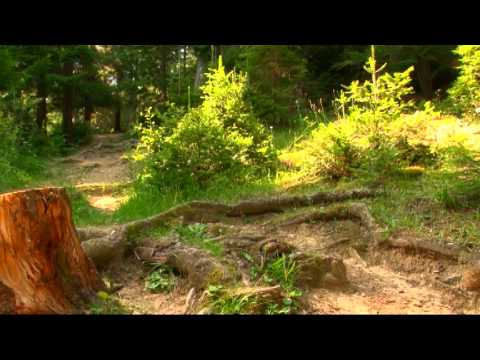 Mănăstirea Agapia (partea II-a) - documentar TRINITAS