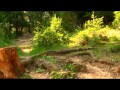Mănăstirea Agapia Partea II A Documentar TRINITAS